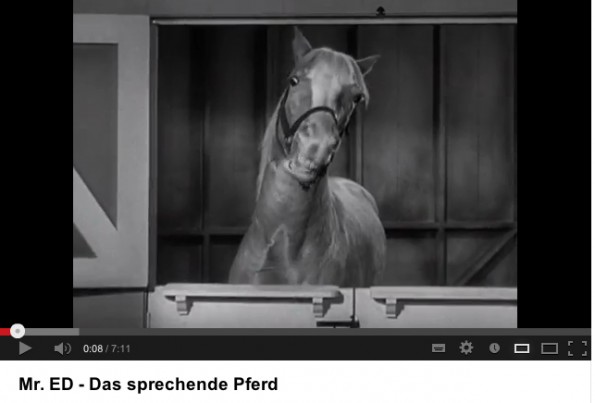 Mr. Ed, die weltweit erfolgreiche US-TV-Serie mit dem „sprechenden“ Pferd läuft heute noch ab und an im Fernsehen.