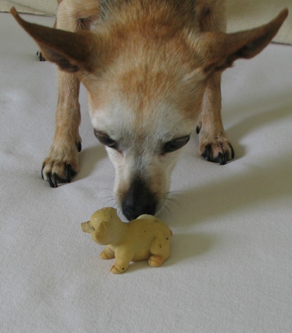 Wie sieht Ihr reiterlicher Schweinehund aus? Je besser sie ihn und mögliche Gegenmaßnahmen kennen, umso weniger hat er Macht über Sie. (© C. Götz)