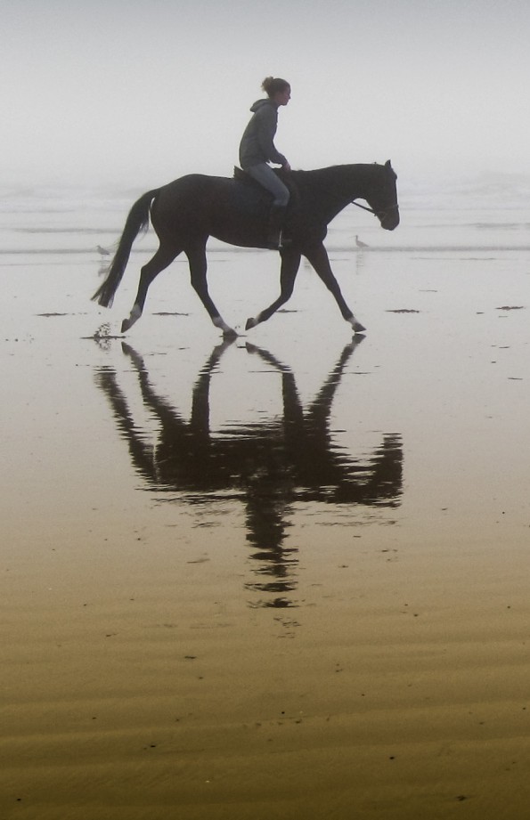Am langen Zügel trabt diese Reiterin über den Strand. (© Mike Baird, Wikipedia)