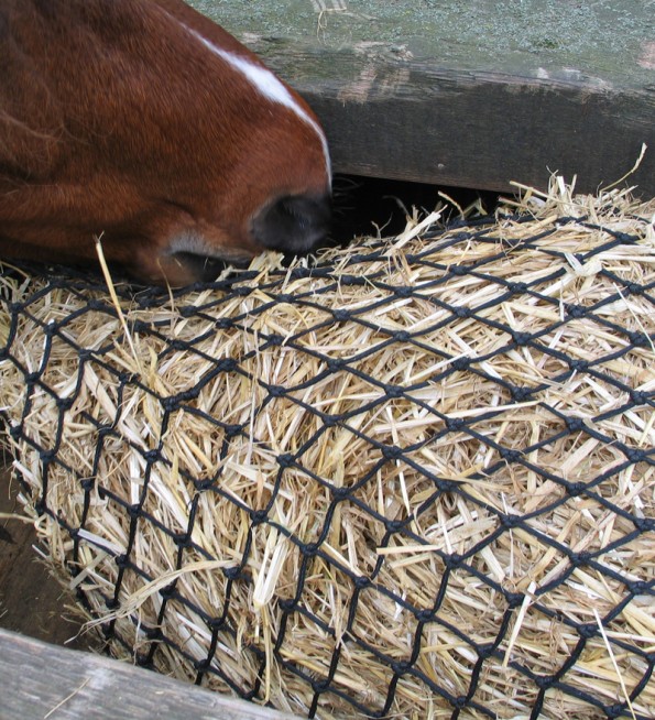 In geringen Mengen in Netzen (für noch längere Fresszeiten) den ganzen Tag über erhältlich, befriedigt Stroh viele Bedürfnisse des Pferdes. (© C. Götz)
