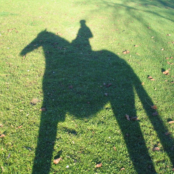 Lange, ungewohnte Schatten können ein junges Pferd durchaus erschrecken. (© C. Götz)