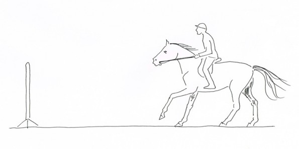 Die Anlehnung beim Springreiten beinhaltet, das Pferd den Kopf so weit anheben zu lassen, dass es das Hindernis beim Anreiten optimal sehen kann. (© C. Götz)
