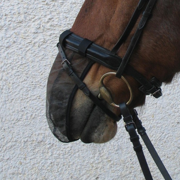 Nosecover oder Netze lindern bei vielen Pferden die HS-Symptomatik. Dass die Pferde damit während des Reitens oder auf der Koppel weniger empfindlich sind, heißt nicht, dass die Ursache behoben ist. (© C. Götz)