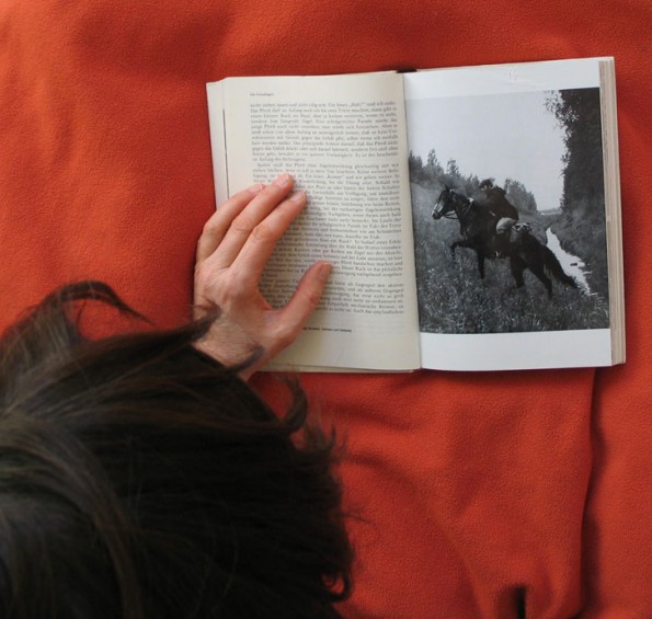 Lesen* bringt einem nicht das Reiten bei, aber es liefert Wissen, das helfen kann einen reiterlich und als Pferdemensch weiterzubringen.