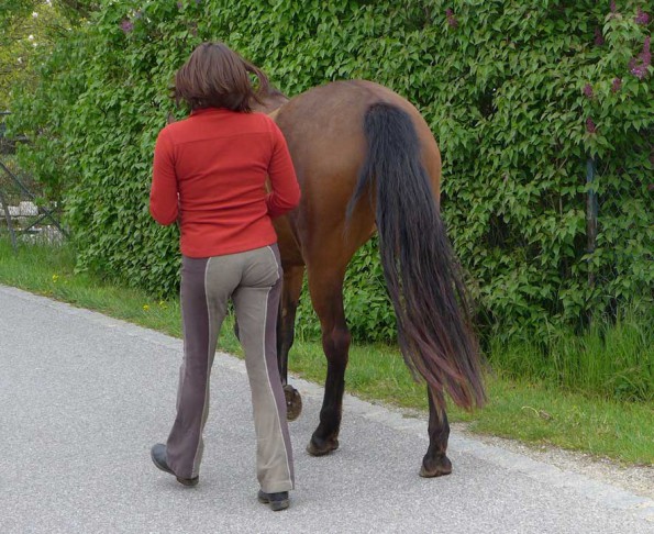 Im Gleichschritt. Egal, ob man von vorne oder hinten führt. Wer sich mit der Schrittfolge der Hinterhufe verbunden hat, sitzt am Motor. (© F. Fitus)