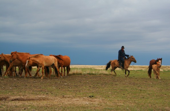Mongolische Pferdehirten zeigen in der Regel ein für uns sehr ungewohntes Bild in punkto Größenverhältnis. (© Quinn Mattingly, Wikipedia)