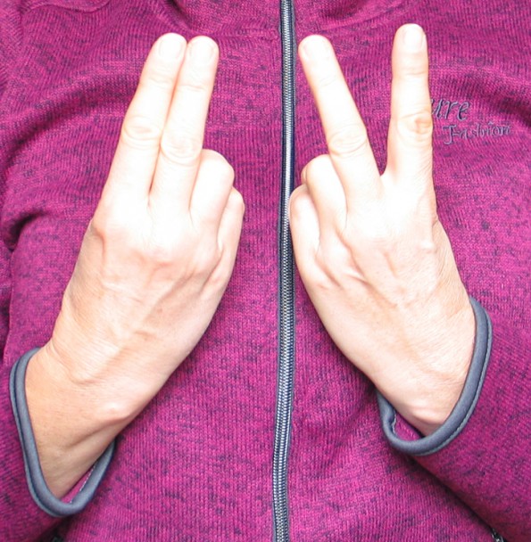 Zwei Finger für besseres Reiten. Werden Sie Botschafter für die Zwei-Finger-Regel und vergessen Sie diese Umfrage nicht. (© C. Götz)