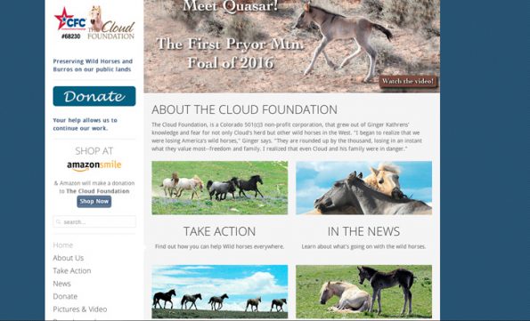 Die Hilfsorganisation The Cloud Foundation ((http://www.thecloudfoundation.org/)) der amerikanischen Natur-Filmerin Ginger Kathrens setzt sich für wildlebende Mustangs und Esel ein.