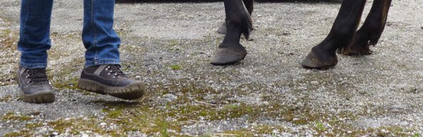 Nicht nur bei der Bodenarbeit oder beim Verladen – bei allen Tätigkeiten, bei denen man ein Pferd führt oder bei der Stallarbeit nahe herankommt – sind feste Schuhe aus stabilem Material, die auch den Knöchel schützen Pflicht. (© C.Götz)